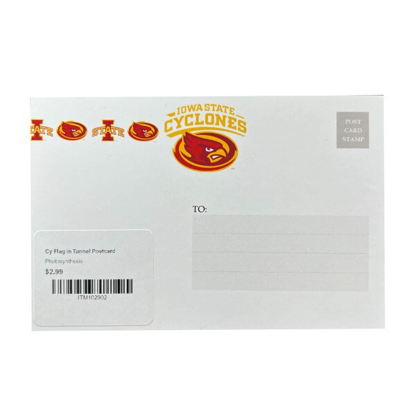 Cy Flag in Tunnel Postcard